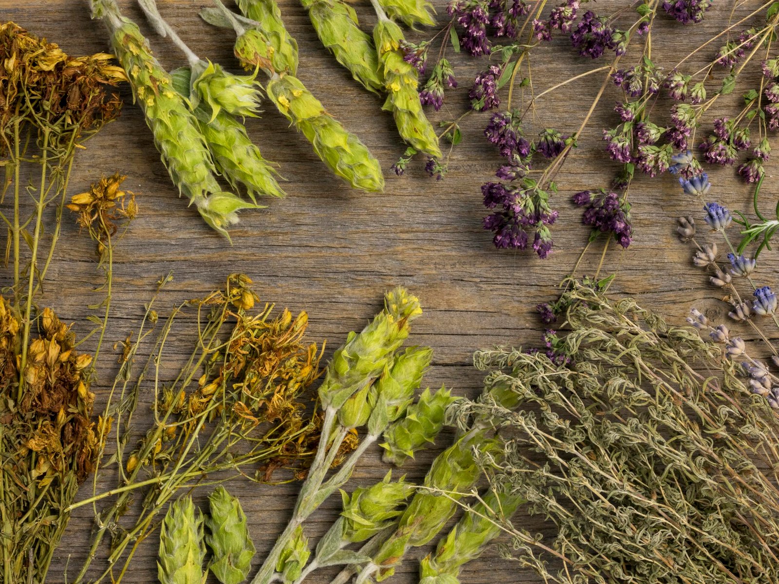 flat-lay-natural-medicinal-spices-herbs-2