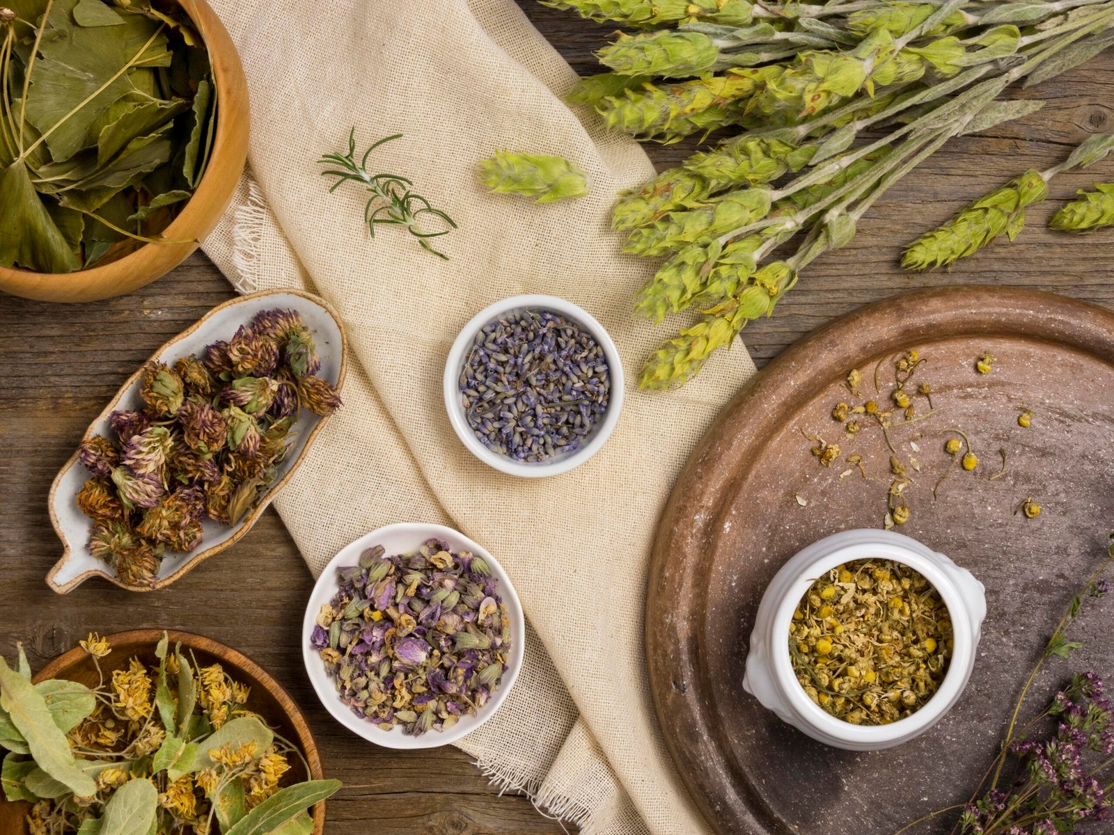 flat-lay-natural-medicinal-spices-herbs