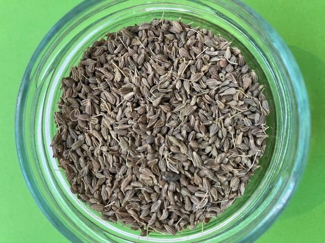 photo de l'achillée millefeuille