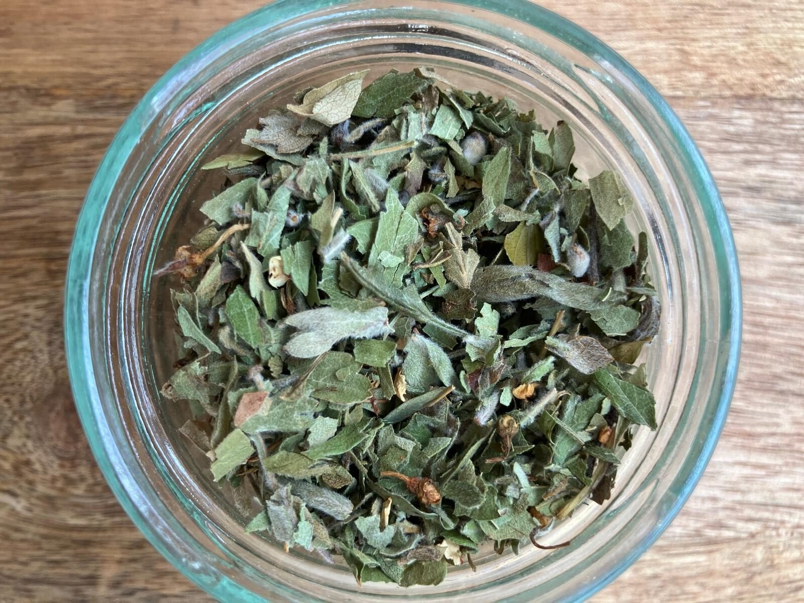 photo de l'achillée millefeuille