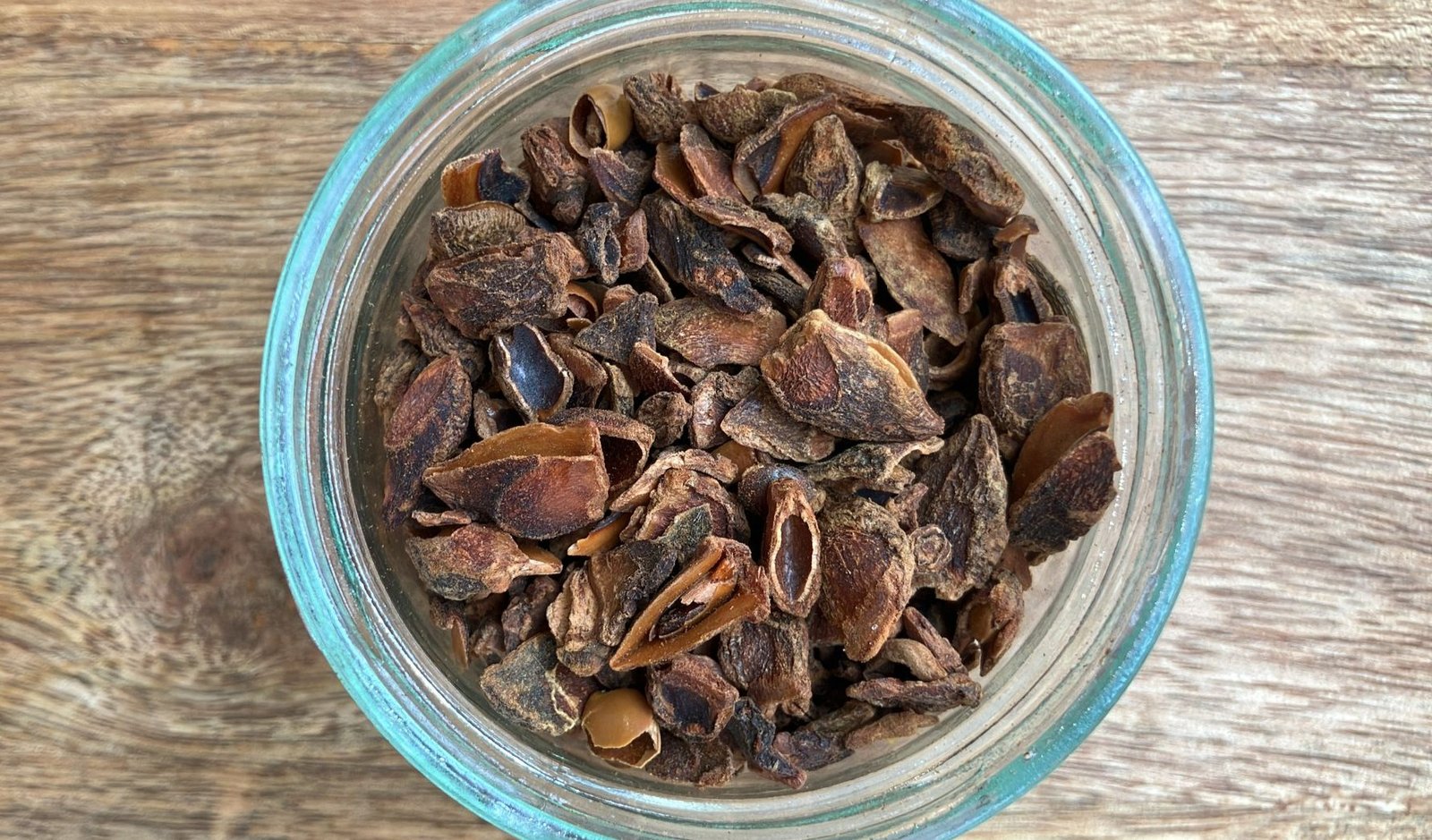 photo de l'achillée millefeuille