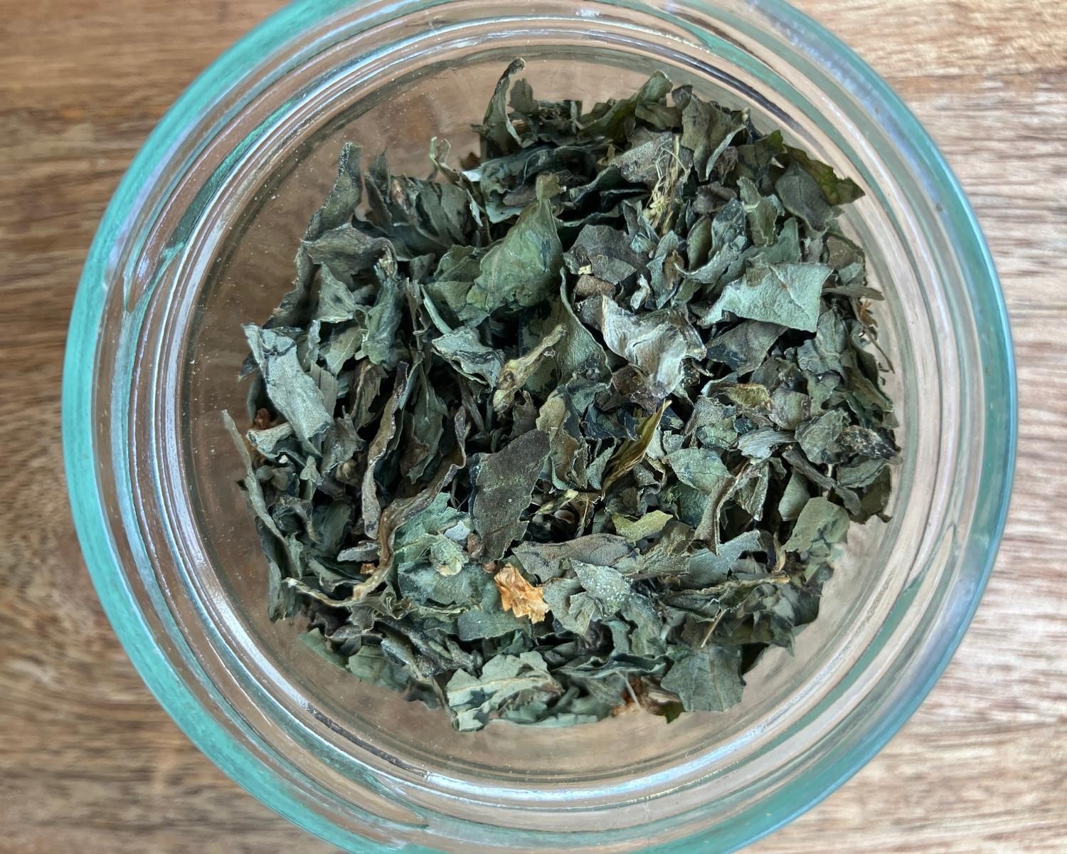 photo de l'achillée millefeuille