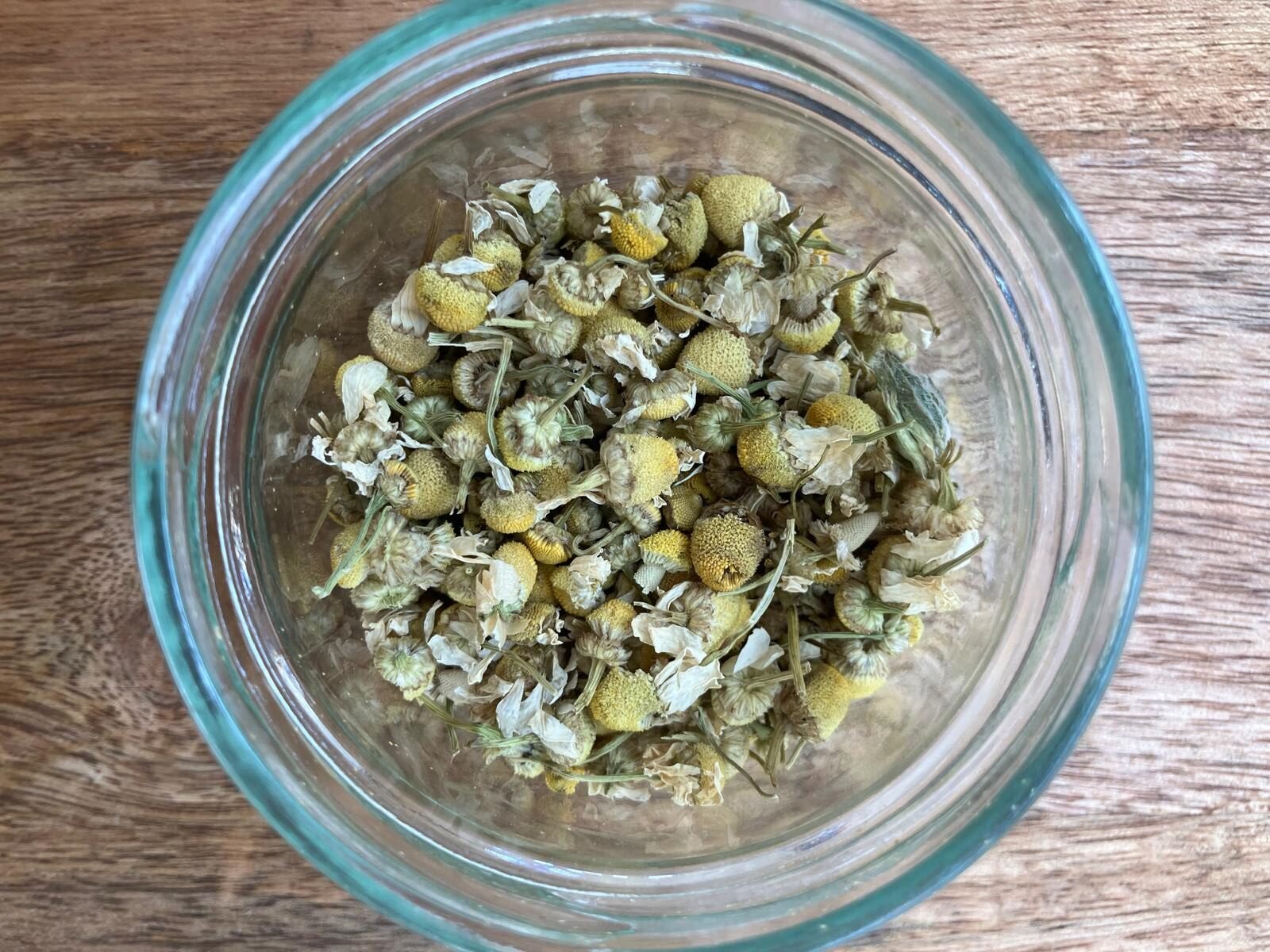 Camomille allemande photo de l'achillée millefeuille