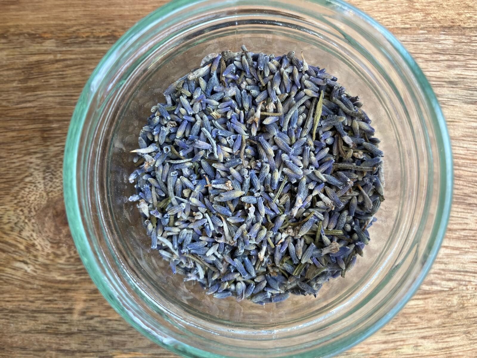 photo de l'achillée millefeuille