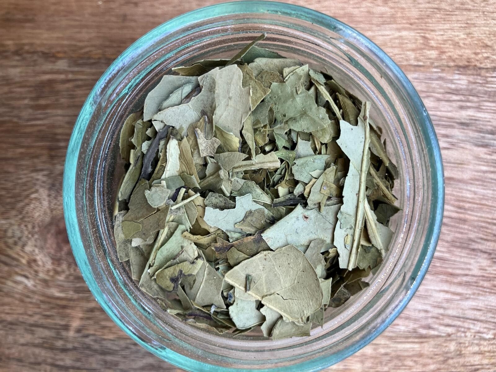 Maté photo de l'achillée millefeuille