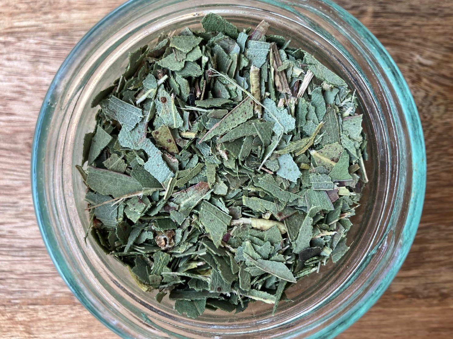 photo de l'achillée millefeuille