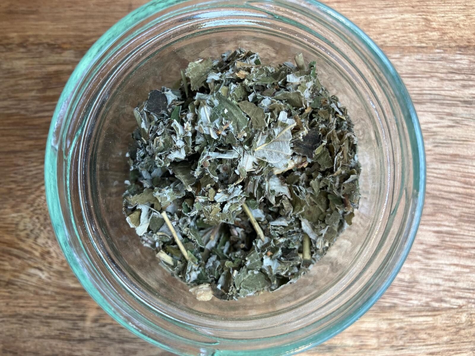 photo de l'achillée millefeuille