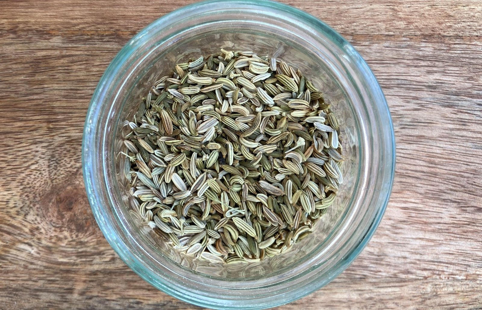 photo de l'achillée millefeuille