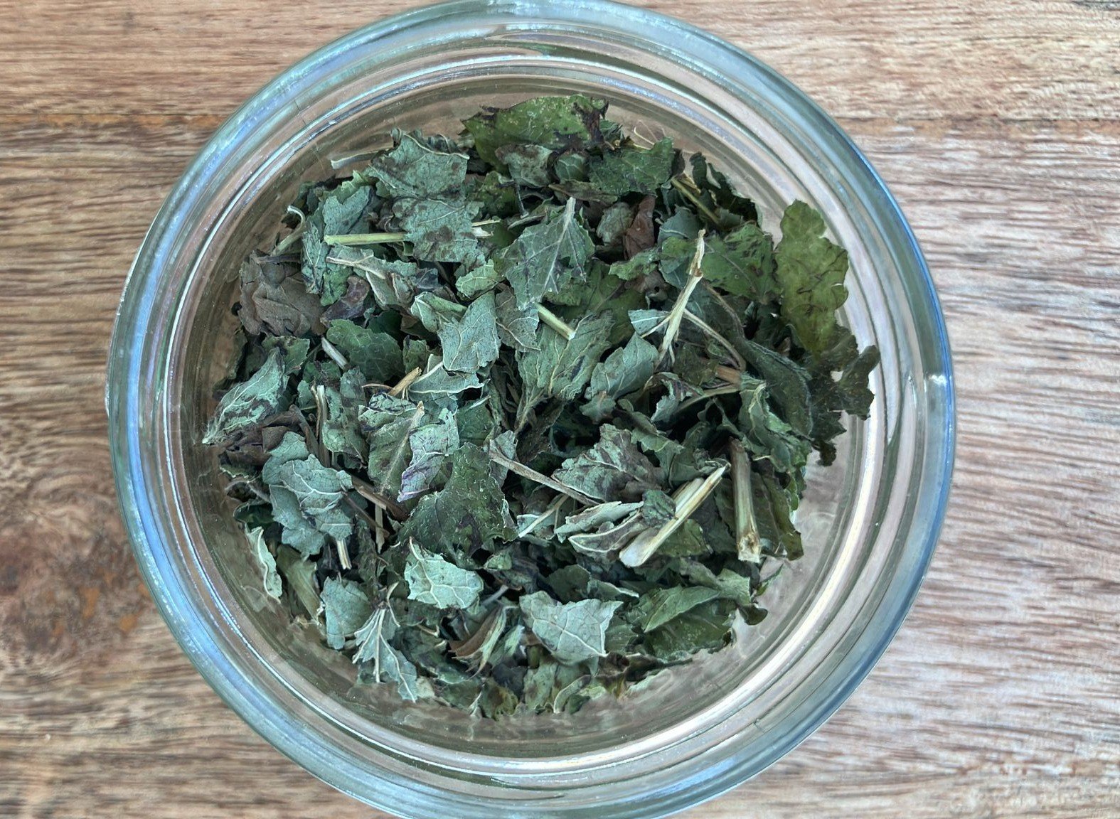 mélisse photo de l'achillée millefeuille