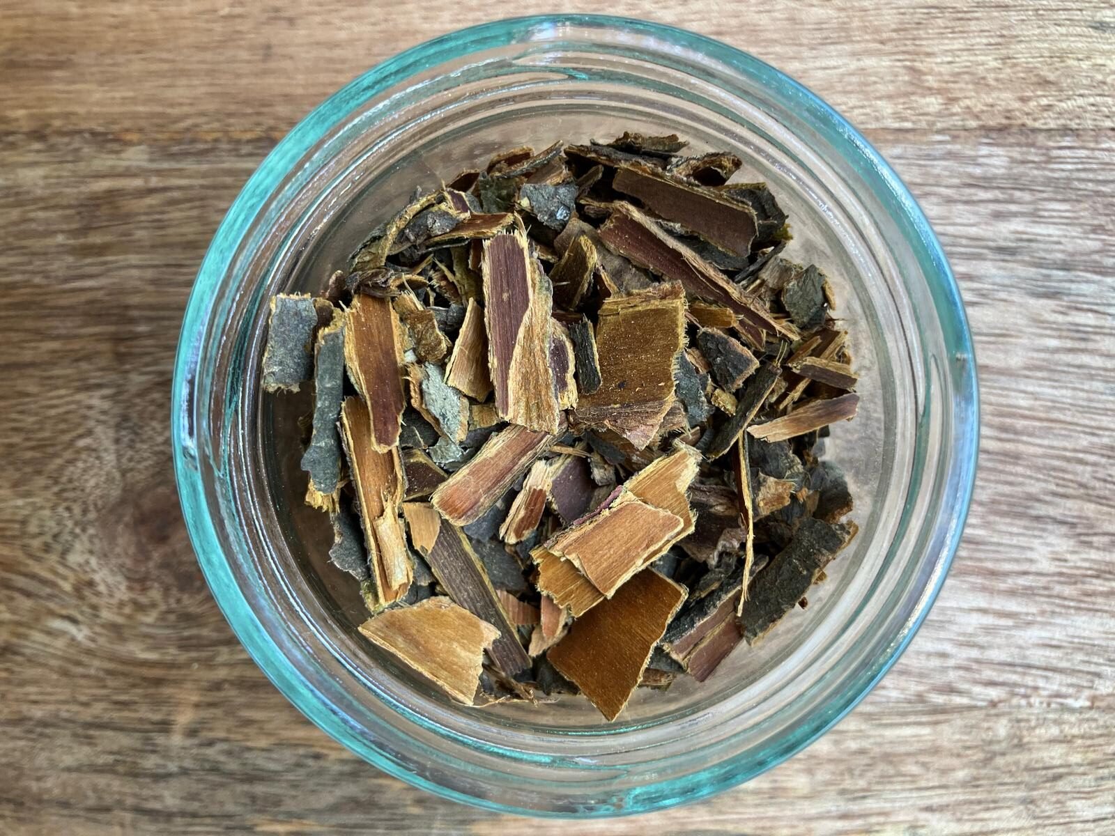 photo de l'achillée millefeuille