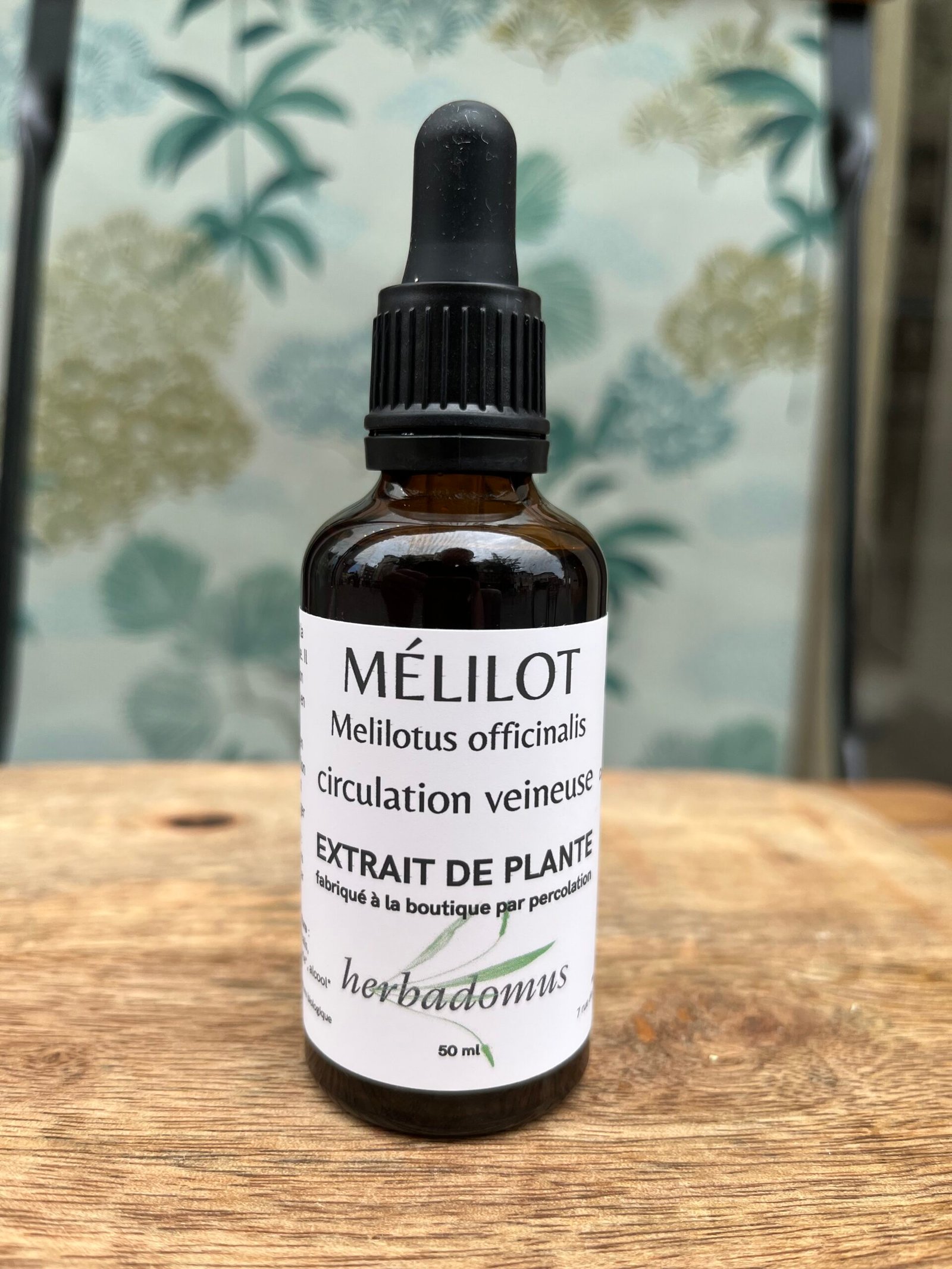 photo de l'achillée millefeuille