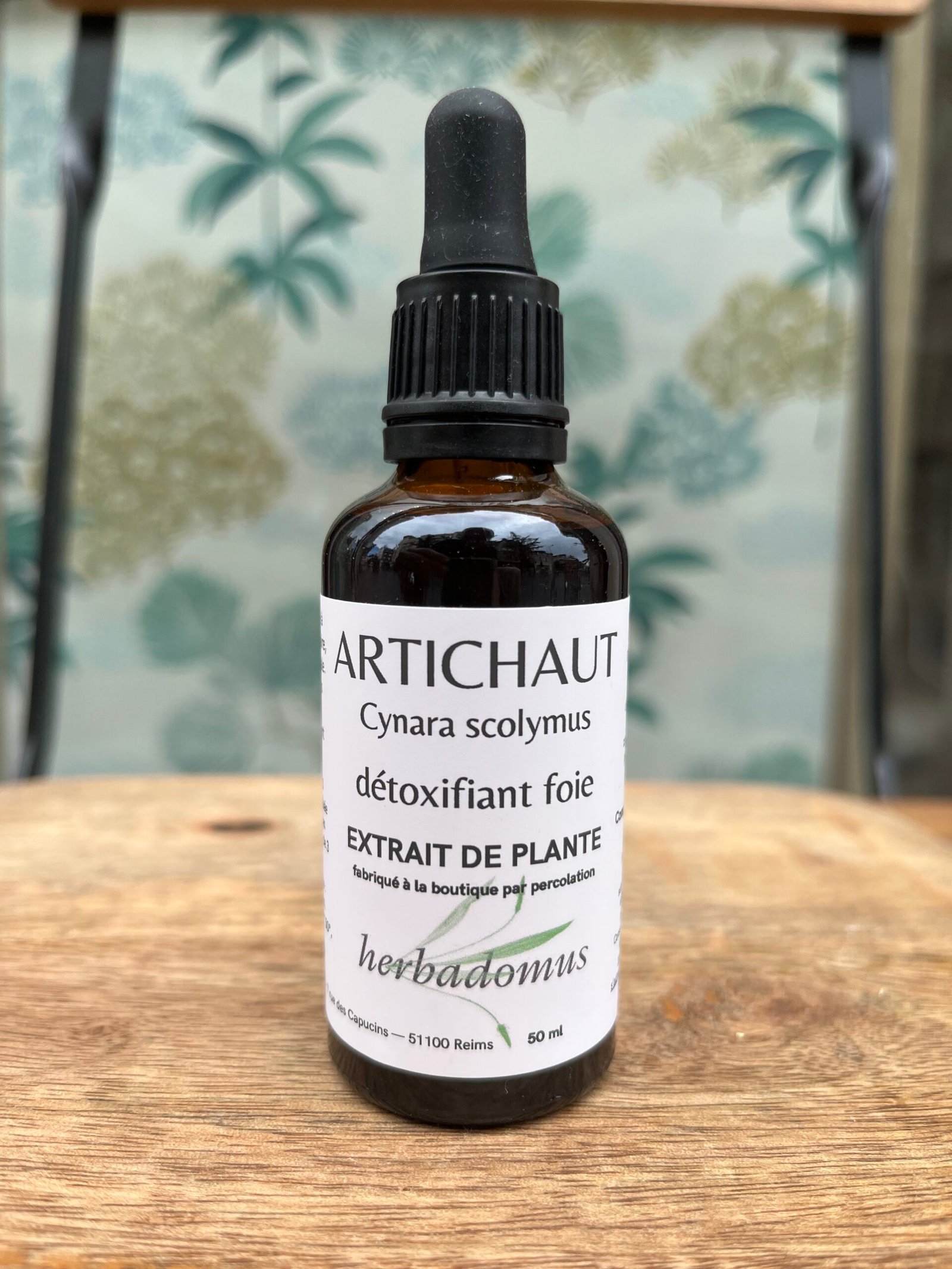 photo de l'achillée millefeuille