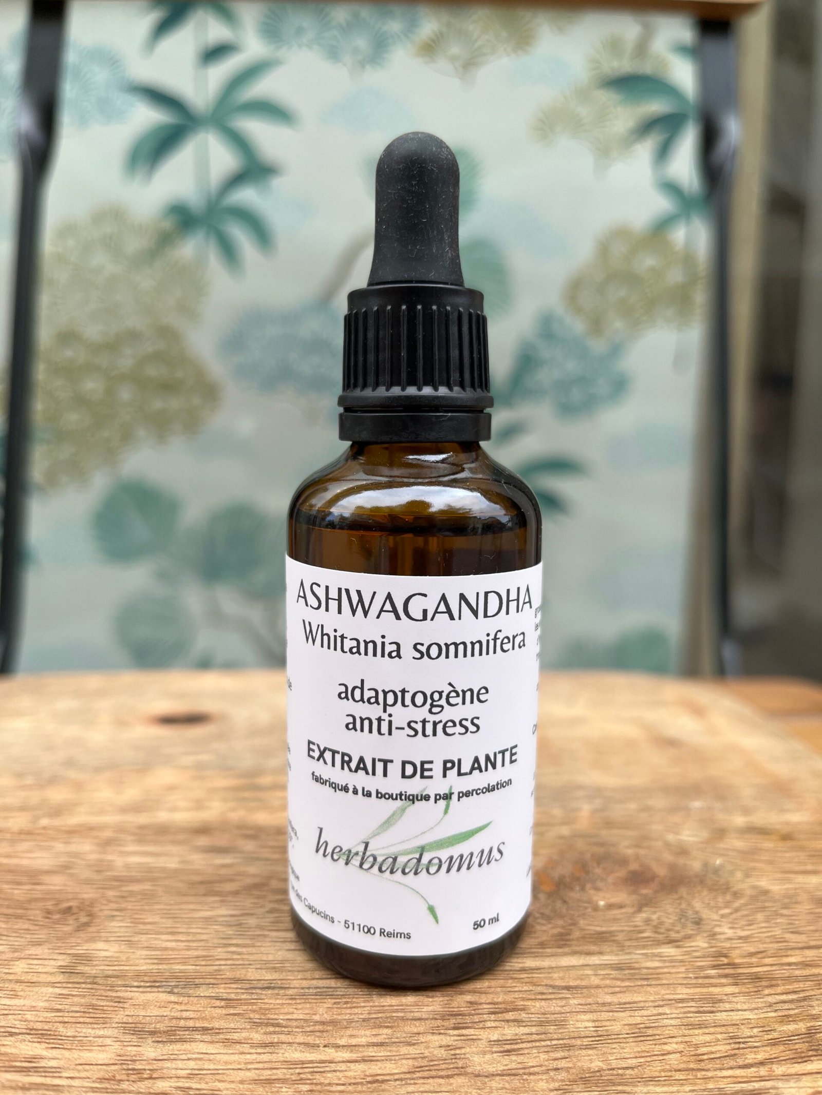 photo de l'achillée millefeuille