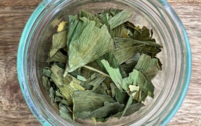 GINKGO