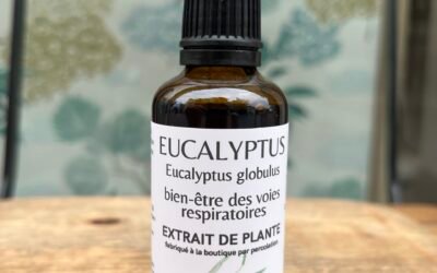 EUCALYTUS – BIEN-ÊTRE RESPIRATOIRE