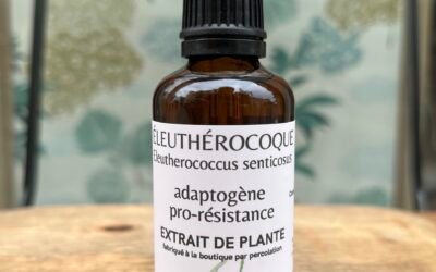ELEUTHÉROCOQUE – ADAPTOGÈNE PRO-RÉSISTANCE