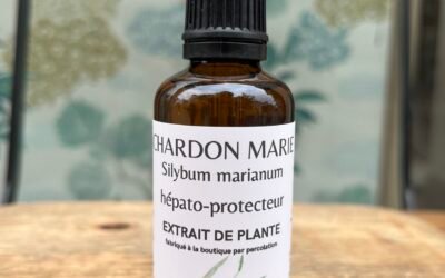 CHARDON-MARIE – HÉPATO PROTECTEUR