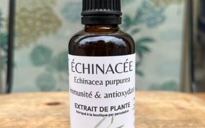 ÉCHINACÉE – IMMUNITÉ & ANTI-OXYDANT