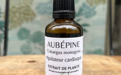 AUBÉPINE – RÉGULATEUR CARDIAQUE