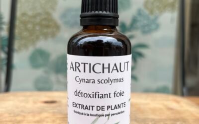 ARTICHAUT – DÉTOXIFIANT FOIE