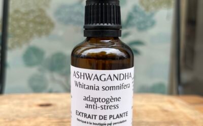 ASHWAGANDHA – ADAPTOGÈNE ANTI-STRESS