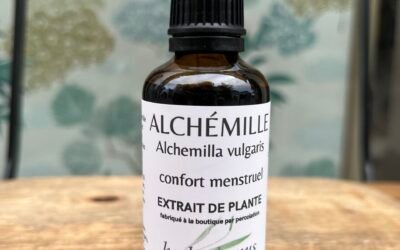ALCHÉMILLE – CONFORT MENSTRUEL