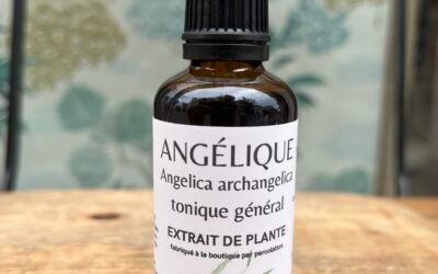 ANGÉLIQUE – TONIQUE GÉNÉRALE