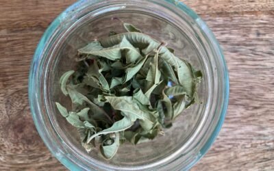 VERVEINE ODORANTE