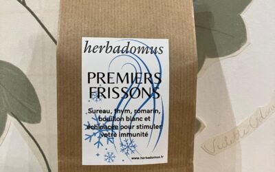 Infusion – premiers frissons