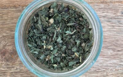 MENTHE POIVRÉE